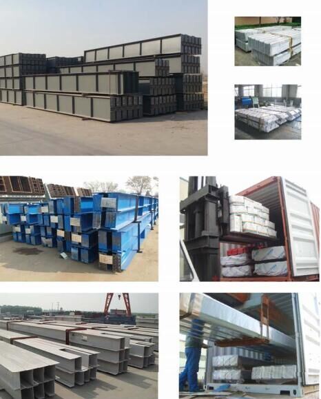 Fast Building High Quality Poultry Steel Structure Shed, Prefabrciated Steel Structure