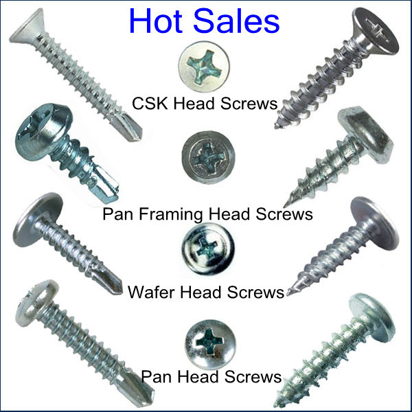 Blue White Galvanized Modified Truss Head Self Drilling Screws