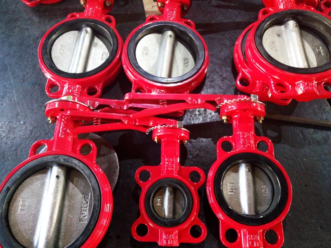 Cast Iron Gear Wafer Butterfly Valve for Fire Fighting