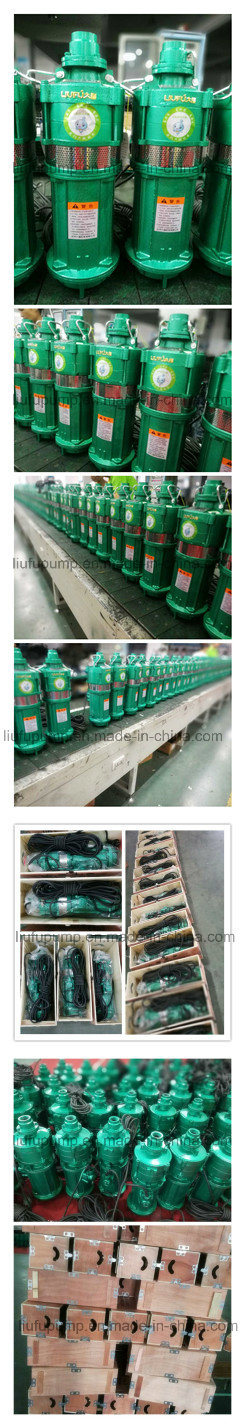 Cast Iron Oil Immersed Multistage Submersible Sewage Pump