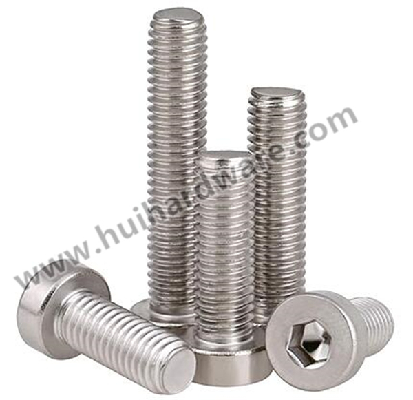 Ss304 Screw DIN7984 Hex Socket Thin Head Cap Bolt