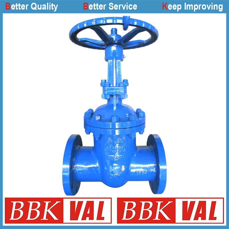 Gate Valve DIN RS Gate Valve Cast Steel Gate Valve