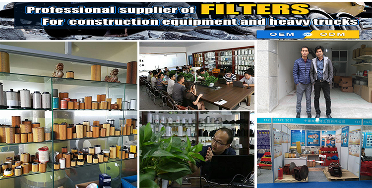 Alternative MP Filtri Hydraulic Oil Filter Elements