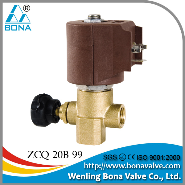 Camay Similar Type 220VAC 1/4 Inch Steam Solenoid Valve