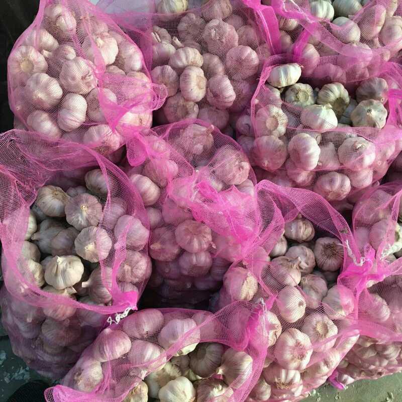 Fresh Garlic & White Garlic Granules Dehydrated Garlic in China