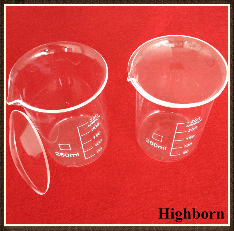 Clear Borosilicate Low Form Glass Beaker with Spout