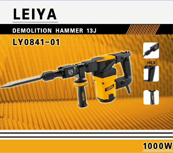 1000W Professional Demolition Hammer (LY0841-01)