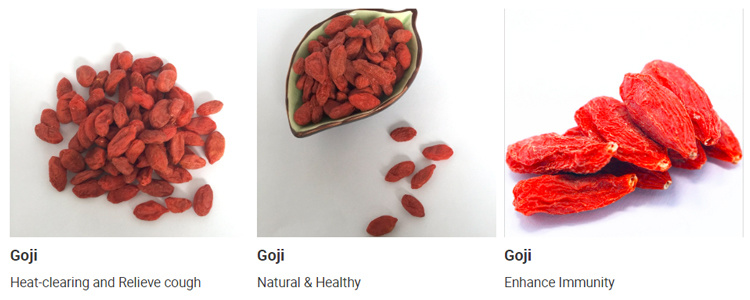 Import Organic Goji Berry