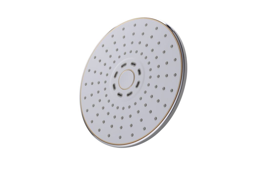 Round Popular Hot Sale Shower Head in China Lm-3011L