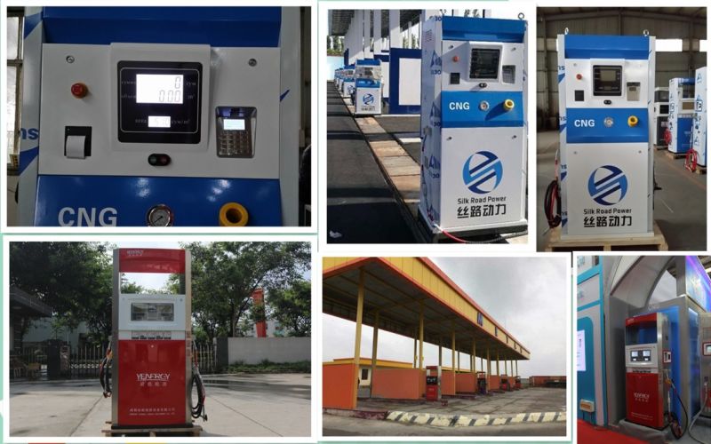 Hot Sell Natural Gas Equipment CNG Fuel Dispenser