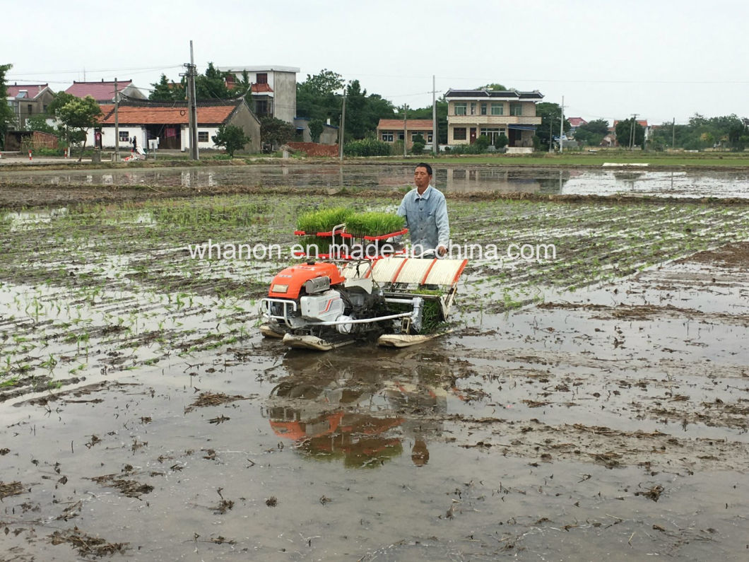 Anon 2 Wheel Walking 6 Rows Rice Seeding Machine Rice Transplanter