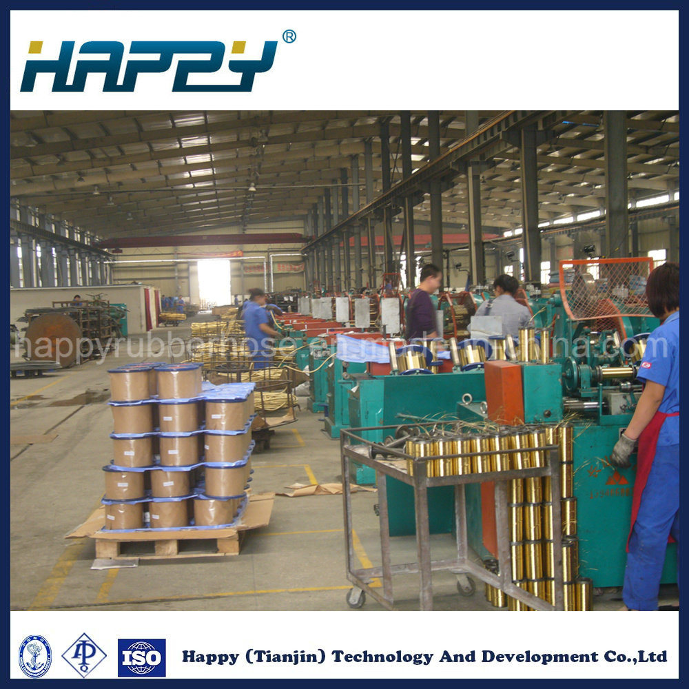 Heavy Duty Wire Spiral Oil Hydraulic Rubber Hose R10