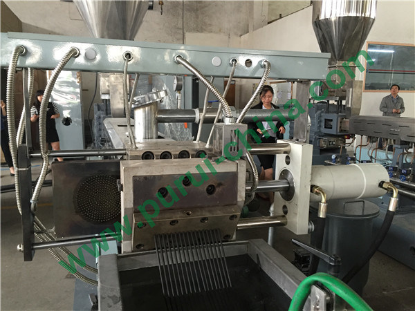 Parallel Twin Screw Extruder/Extrusion Machine