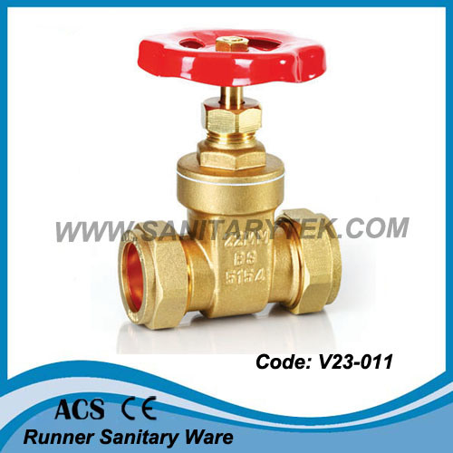 Forged Brass Gate Valve (V23-007)