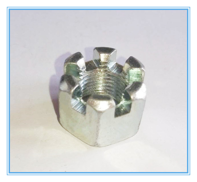 Ss Hex Slotted Nuts (DIN935)