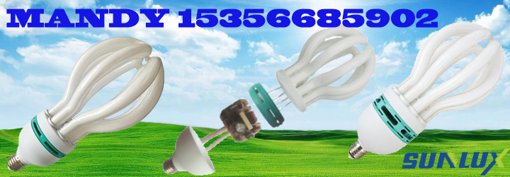 Hangzhou Factory 4u 5u 8u 45W 65W CFL-Lotus-85W 105W Lotus Energy Saving Lamp