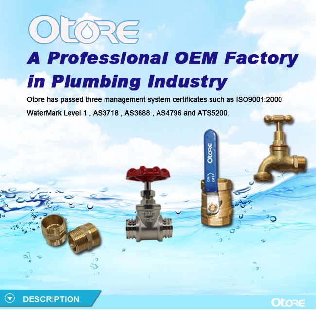 Brass Globe Valve Brass Stop Valve Angle Y Type