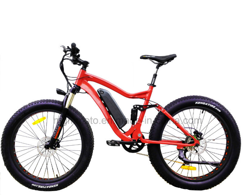 2018 MID Drive Mountaine Electric Bike Fat Tire