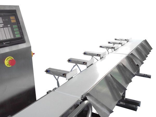 Automatic Conveyor Belt Pouch Check Weigher Sorting Machine