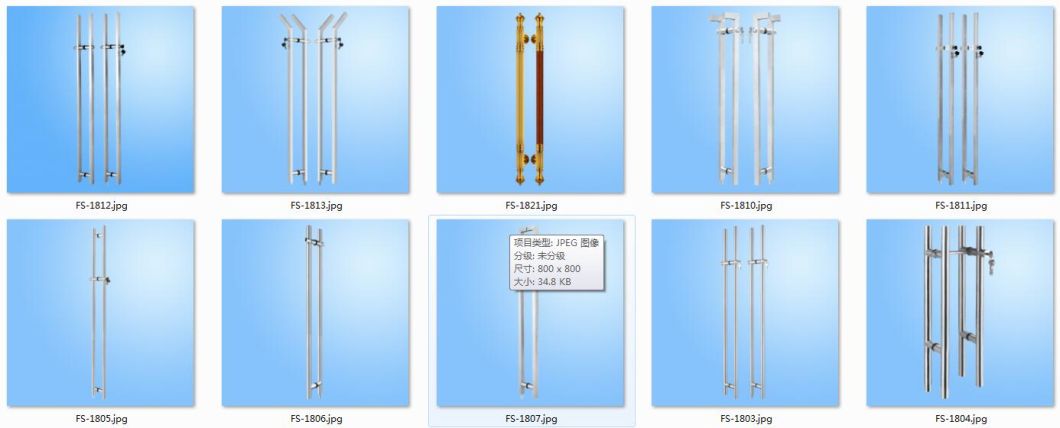 Stainless Steel Glass Door Pull Handle (FS-1848)