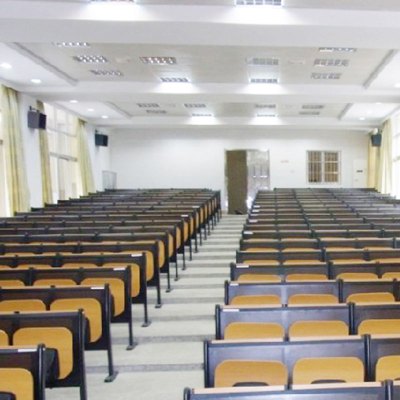 Tables and Chairs for Students, School Chair, Student Chair, School Furniture, Fixed Steel Cantilever Style Desks and Chairs Amphitheater Chair (R-6239)