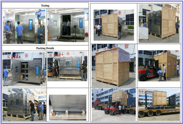 Carton Package Vibrator and Simulation Transport Vibration Test Bench