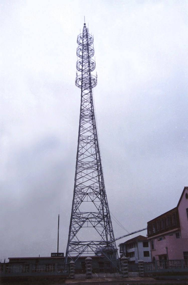 Galvanized Self Supporting Telecom High Monopole Tower Quality