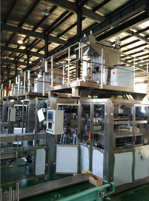 25kg 50kg Bag Feeding Filling Sealing Packing Machine Gfck-25