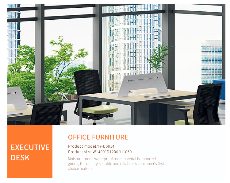 High Quality Modern Design Office Desk Office Workbench (YY-D0812)