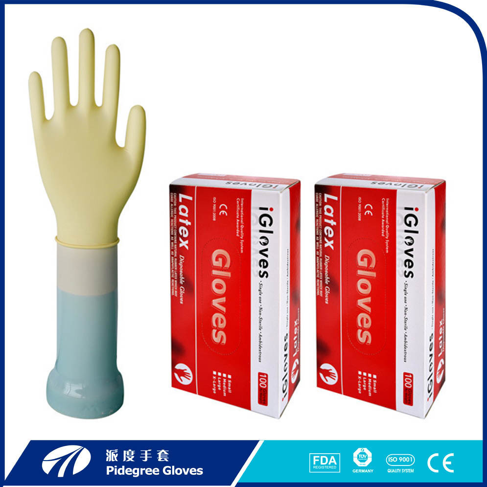 Latex Examination Gloves in Malaysia