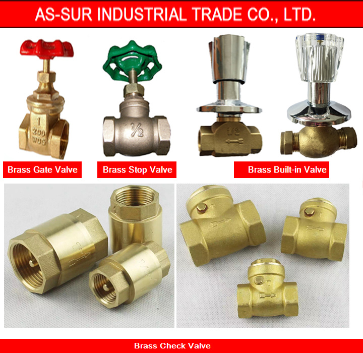 Bronze/Brass Built-in Stop Valve as-Ws006