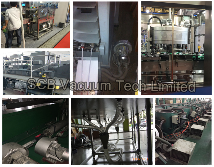 Competitive Air Centrifugal Vacuum Pump in Beer Filling Machine