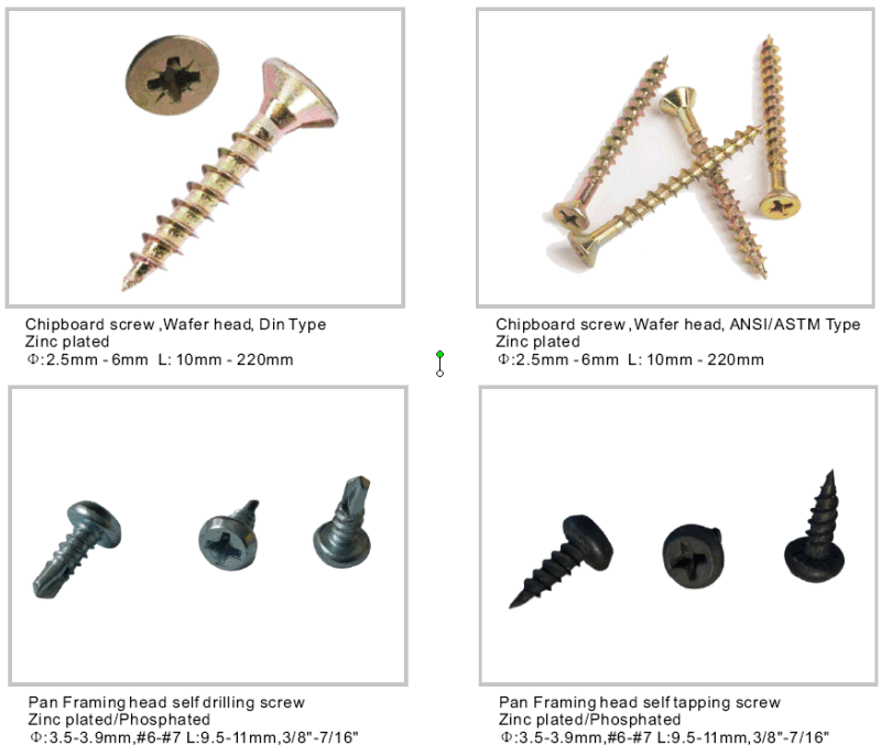 Coarse Thread Drywall Screw