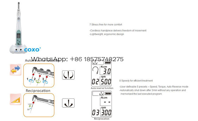 Dental Endo Motor Mate Coxo Endodontic Treatment Equipments