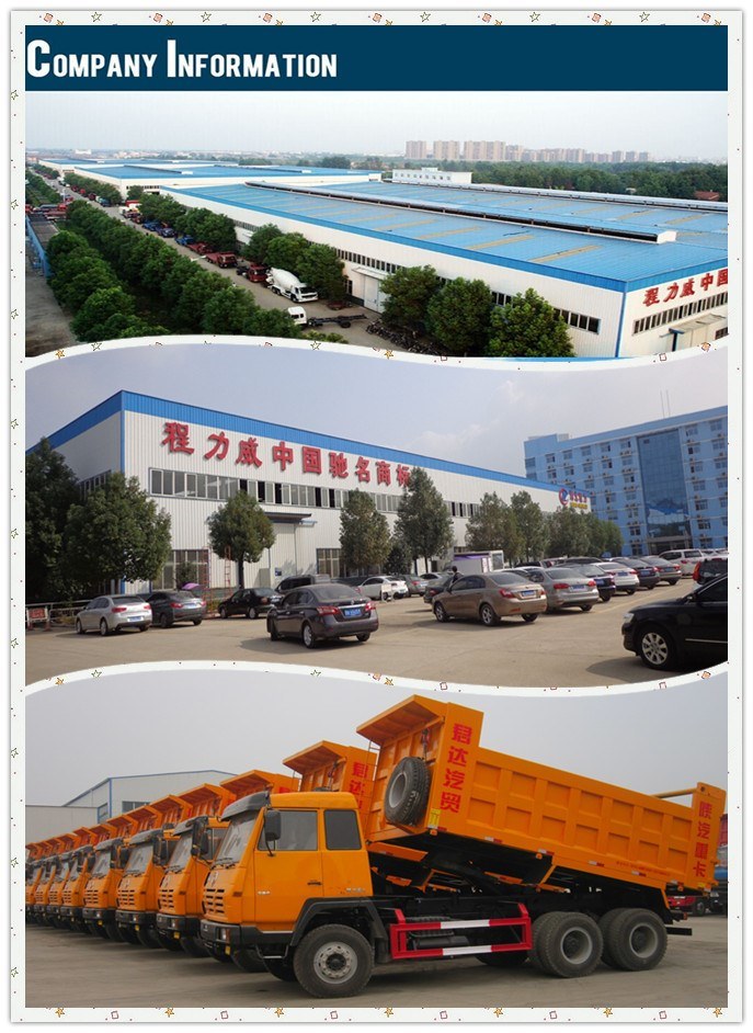 China HOWO 4X2 10ton Mini Dump Truck Tipper Truck