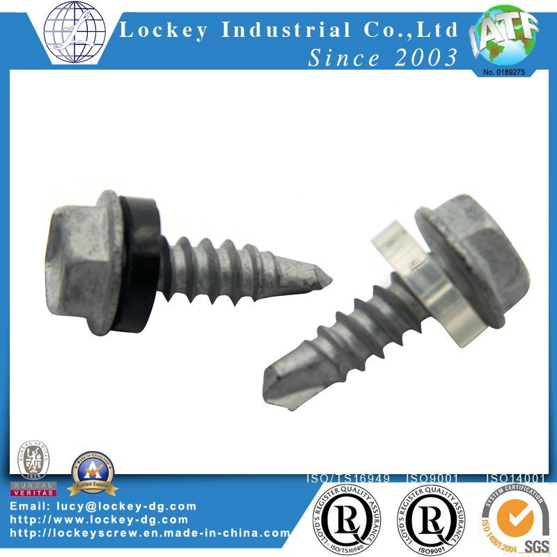 Painted Hex Washer Head Self Drilling Screw with EPDM Bonded Washer