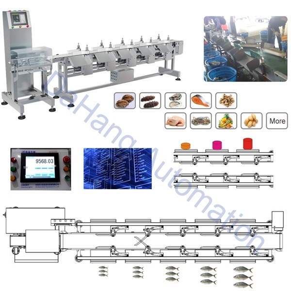 1-20 Grades Seafood Hairy Crab Weight Sorter Machine