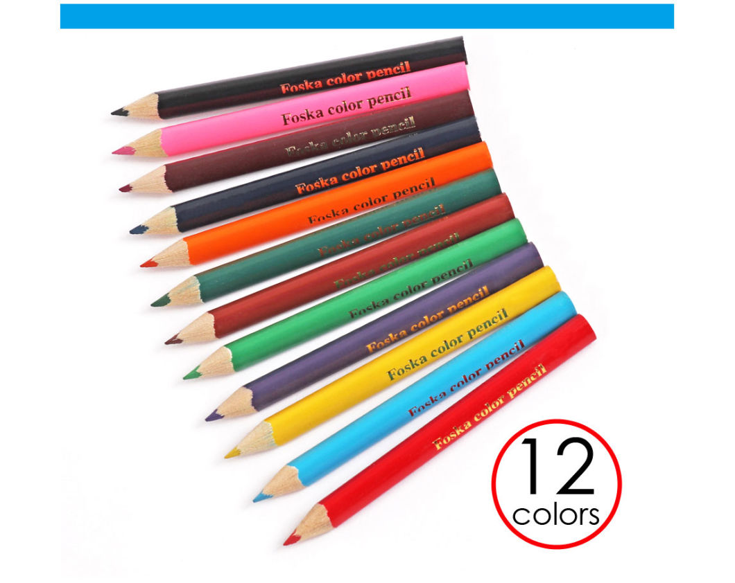 3.5'' 12 Color Wooden Triangle Color Pencil