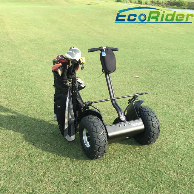 Airport 2 Wheel Self Balance Electric Scooter Golf Cart