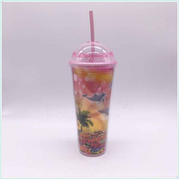 550ml Plastic Travel Mug for Coffee (SH-PM35)