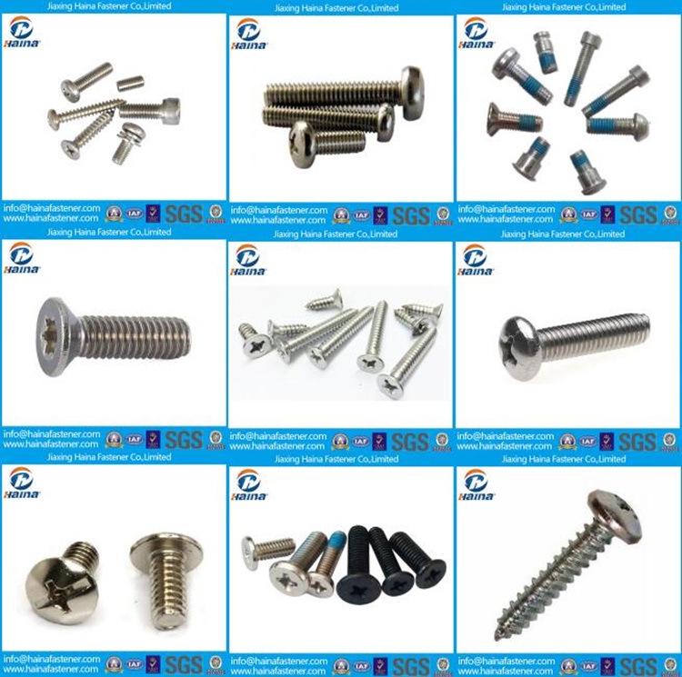 High Quality Color Zinc Plated Countersunk Head Square Socket Drive Screw