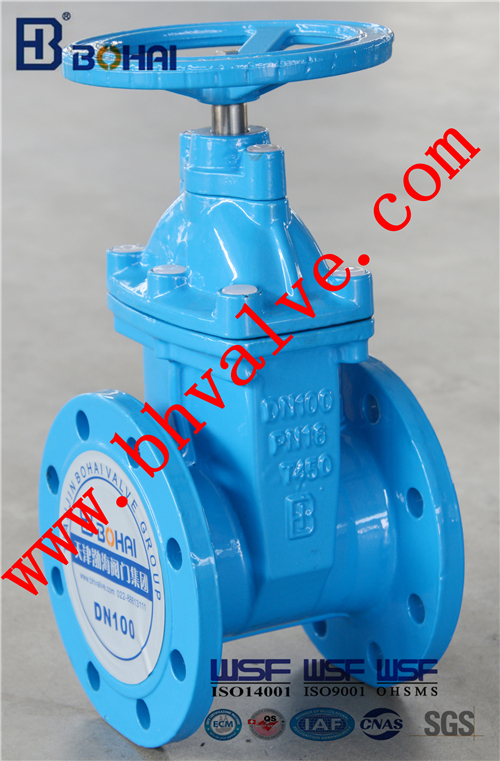 Non-Rising Resilient Seat Gate Valve for Water Transfer