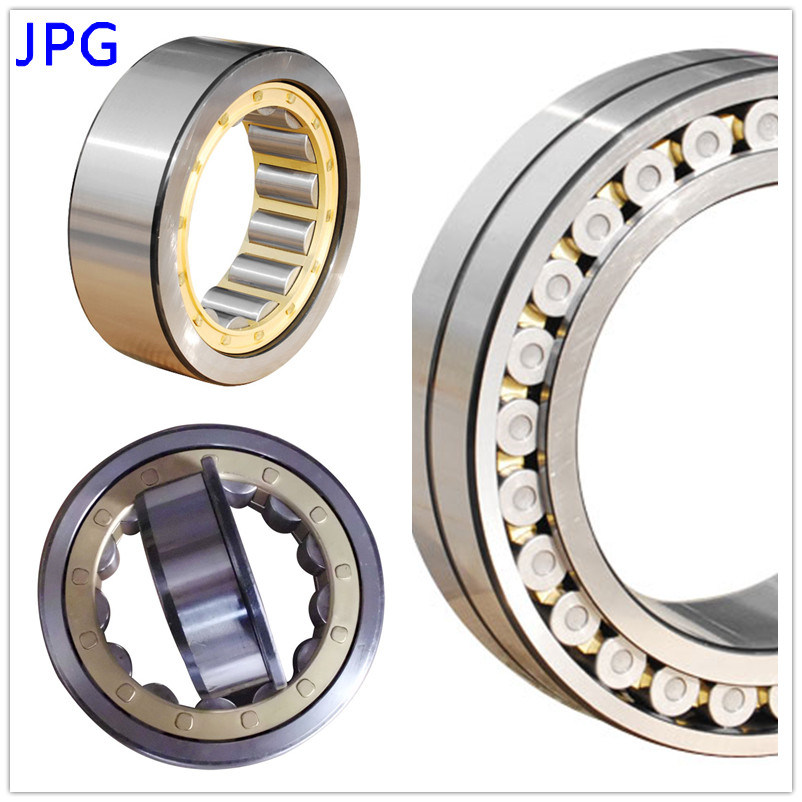 OEM NSK SKF Koyo N, Nu, Nj, NF, Nup, Ncf, Nn, Nnu, FC, Fcd, Fcdp, Nncf, Nnf, SL Copper & Steel Cage Cylindrical Roller Bearing