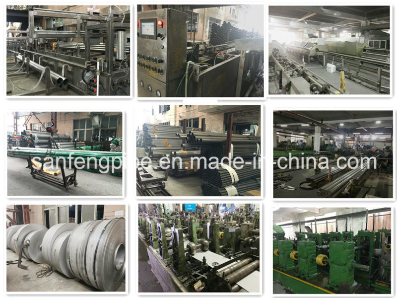 SS304 SS316 Stainless Steel Tube/Pipe Fitting