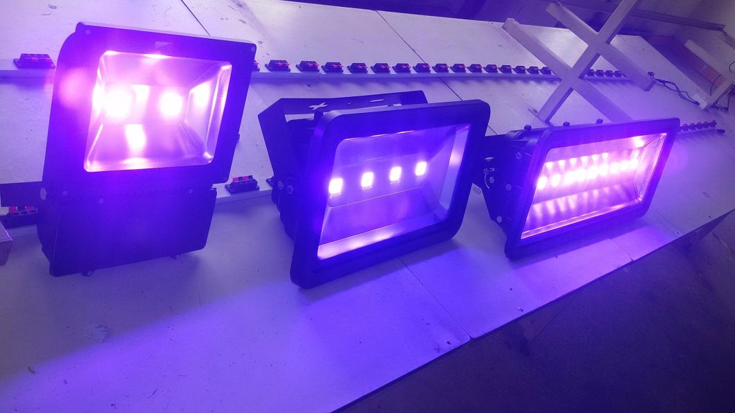 Ultra Violet 100W UV LED Floodlight 365nm 405nm UV Lamp for Paintball Field