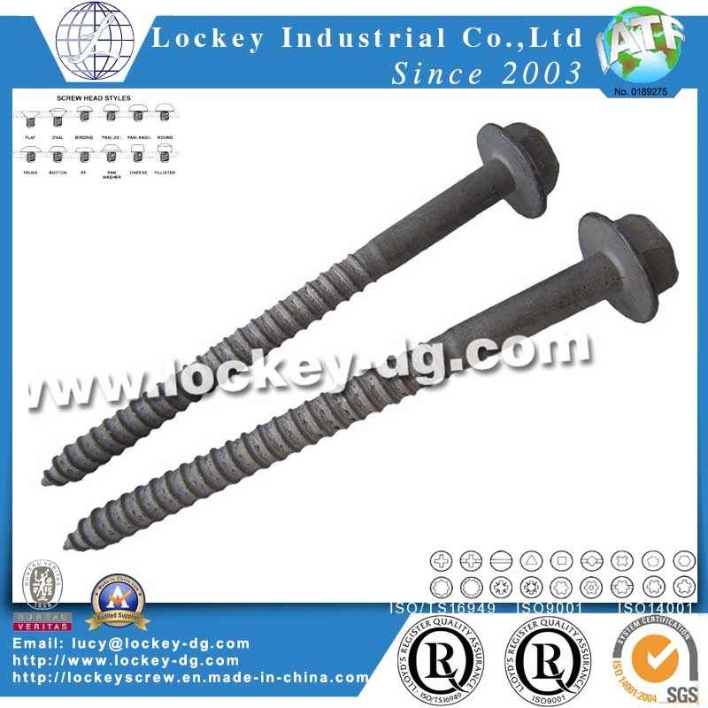 Hex Flange Head Lag Screw Wood Screw Coach Screw