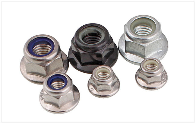 Stainless Steel Flange Nylon Lock Nut