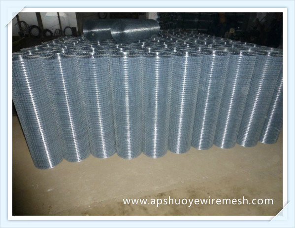 Stainless Steel Galvanized PVC Coated Welded Wire Mesh