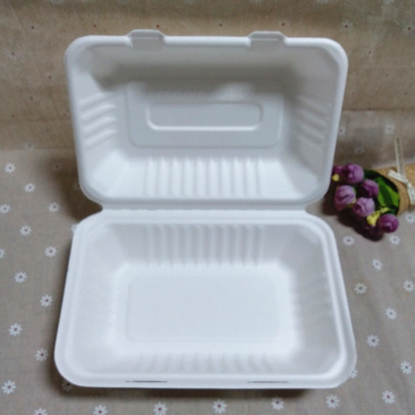 Biodegradable Food Container Bagasse Compostable Bento Lunch Box