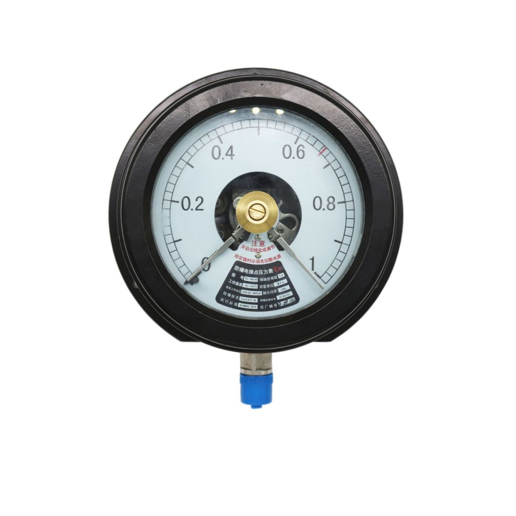 Explosion-Proof Electric Contact Pressure Gauge with High Quality
